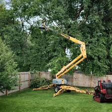 Lawn Pest Prevention in Grace, ID