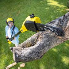 Best Storm Damage Tree Cleanup  in Grace, ID