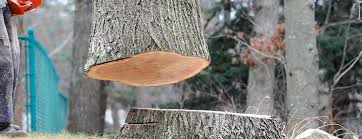 Best Firewood Processing and Delivery  in Grace, ID